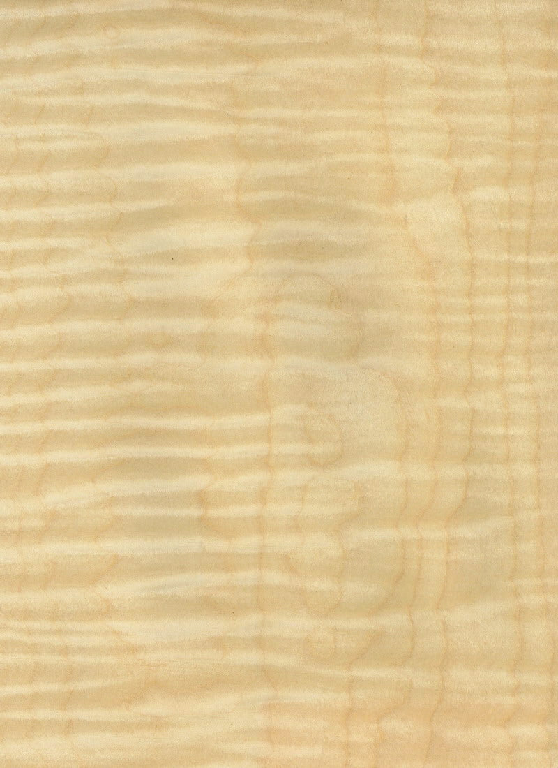 Curly Soft Maple