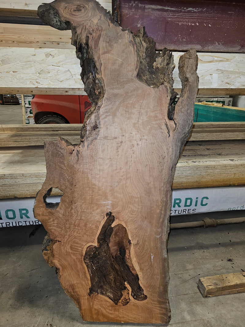 Pacific Redwood(sequoia) 12/4 burl RW36